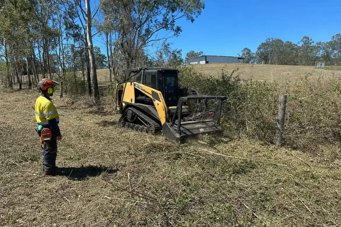 Skid steer mulching regrowth along a fence line on a Burpengary acreage block