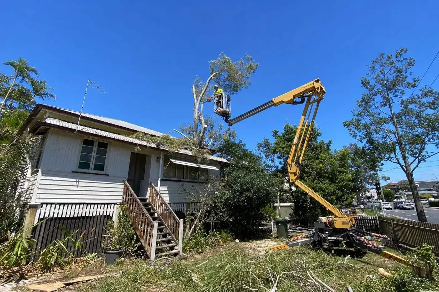 Elevated work platform lifting an arborist to a gum limb above a Kallangur roofline
