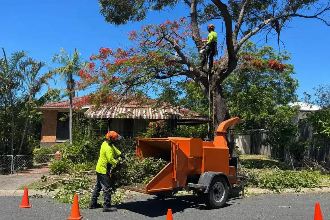 Wood chipper at the kerb during street front tree work outside a Redcliffe house