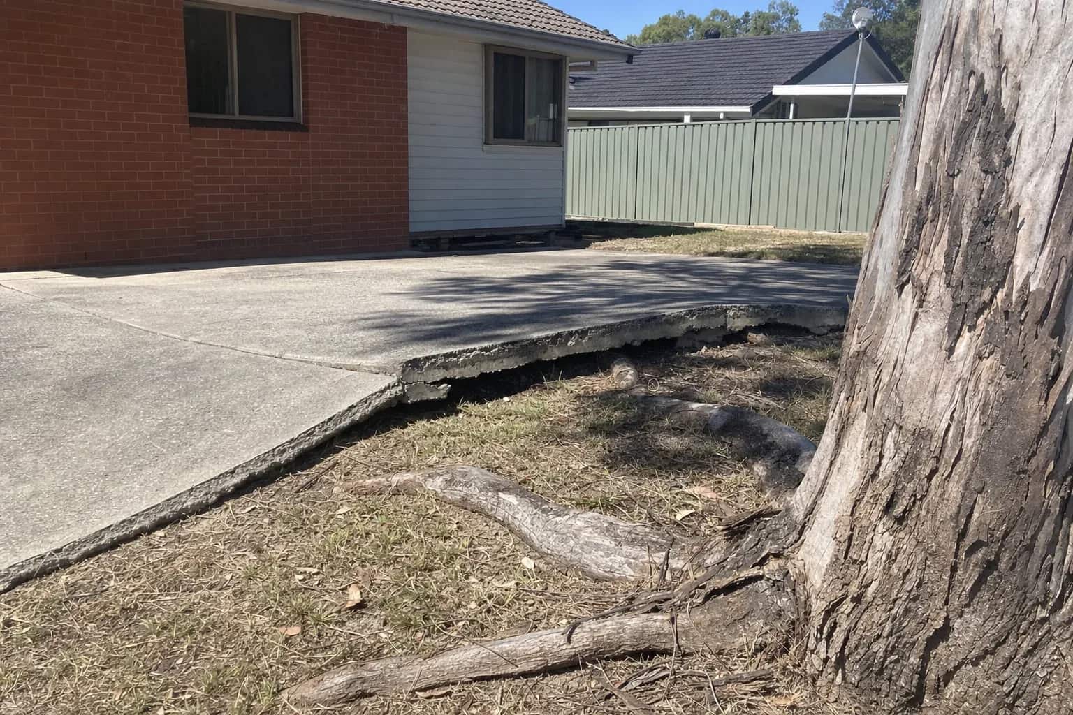 The broken edge of a concrete driveway lifted by the surface roots of a large gum beside a Queensland brick home
