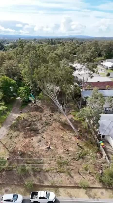 Aerial view of a partly cleared block in a Moreton Bay suburb with houses either side and one tree mid-fall