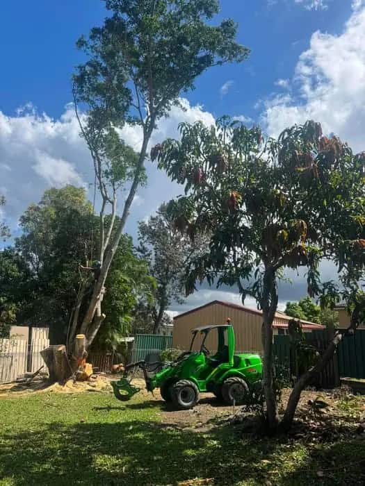 Elevated work platform set up on a tight residential block for tree work