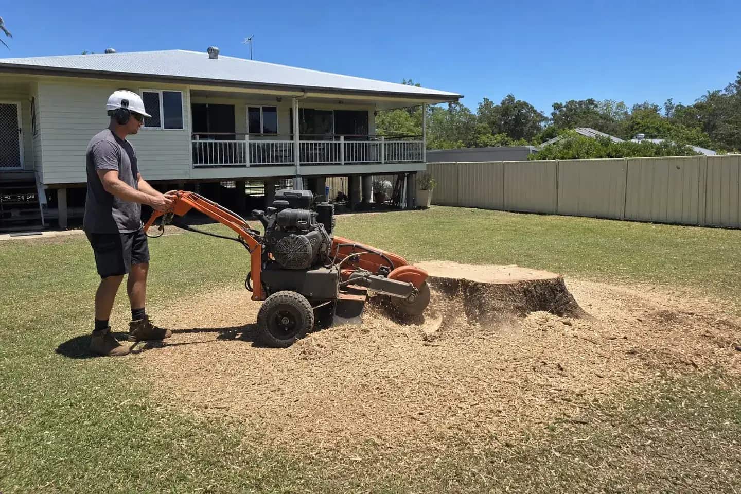 Operator running a walk-behind stump grinder into a large tree stump on the back lawn of a Queensland home in Caboolture